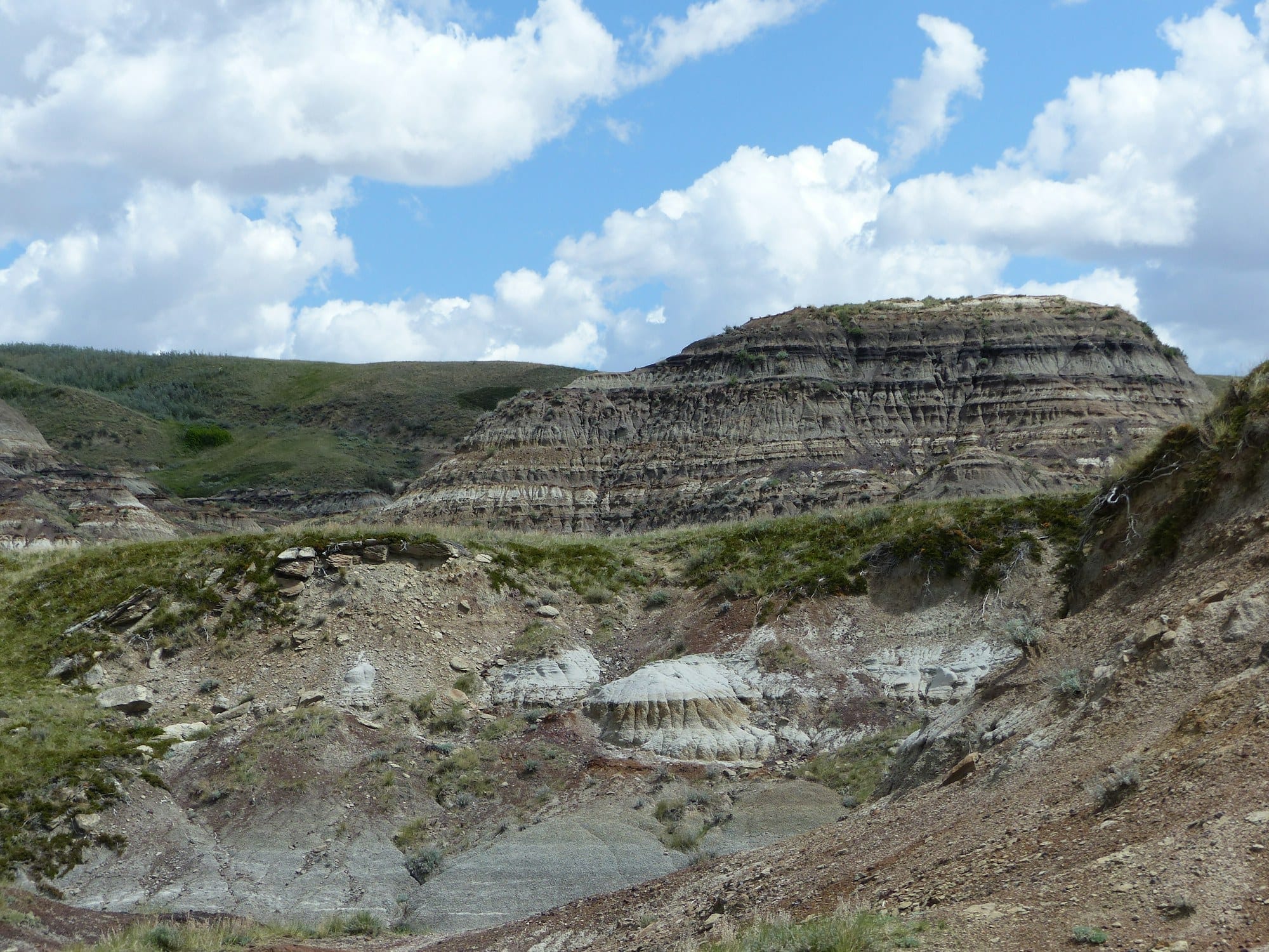 A flat-topped badlands butte above green coulees near Drumheller, under white summer clouds
