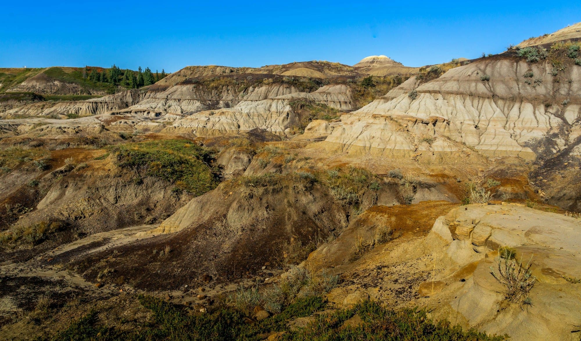 Sunlit ochre and cream badlands slopes in a coulee near Drumheller