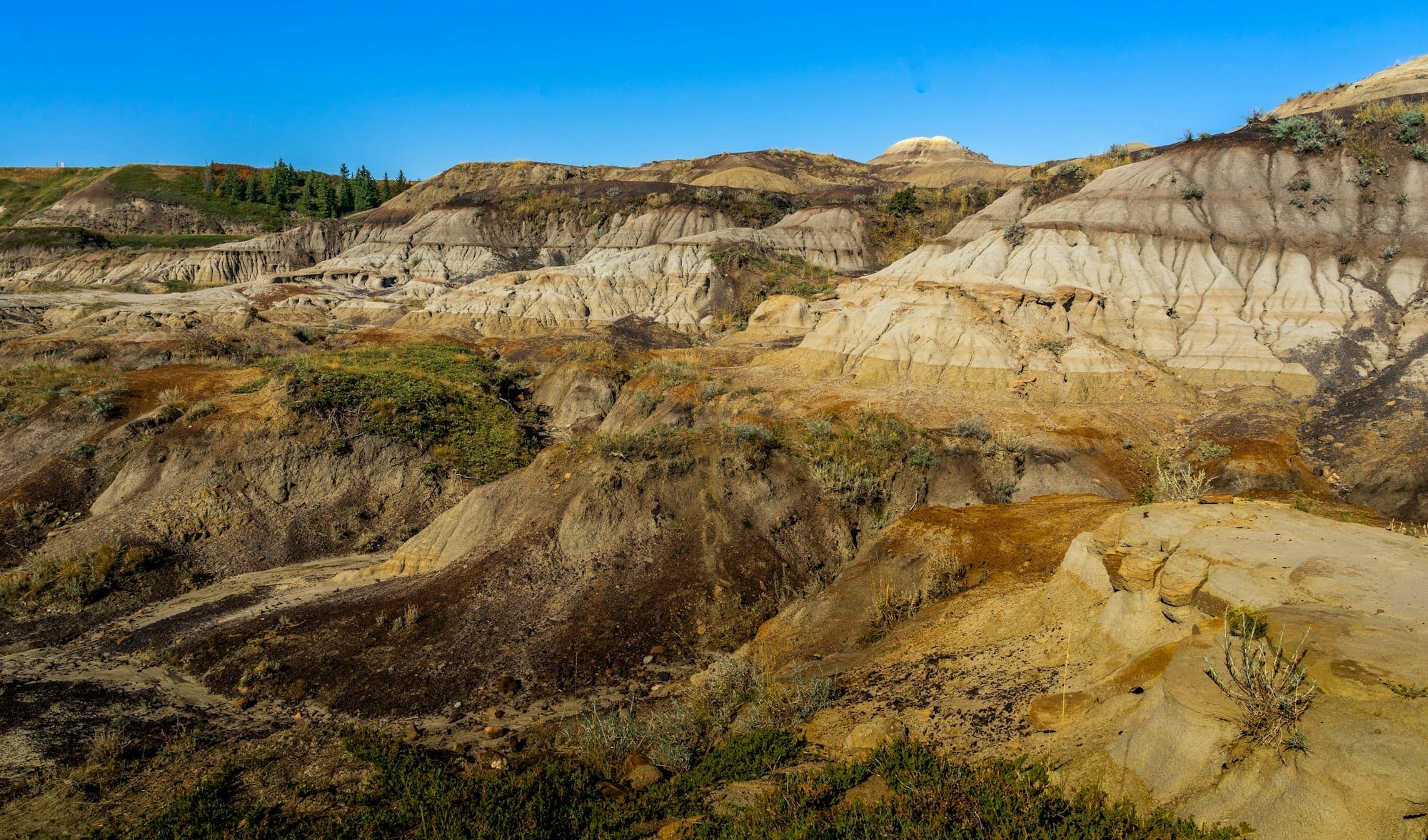Sunlit ochre and cream badlands slopes in a coulee near Drumheller