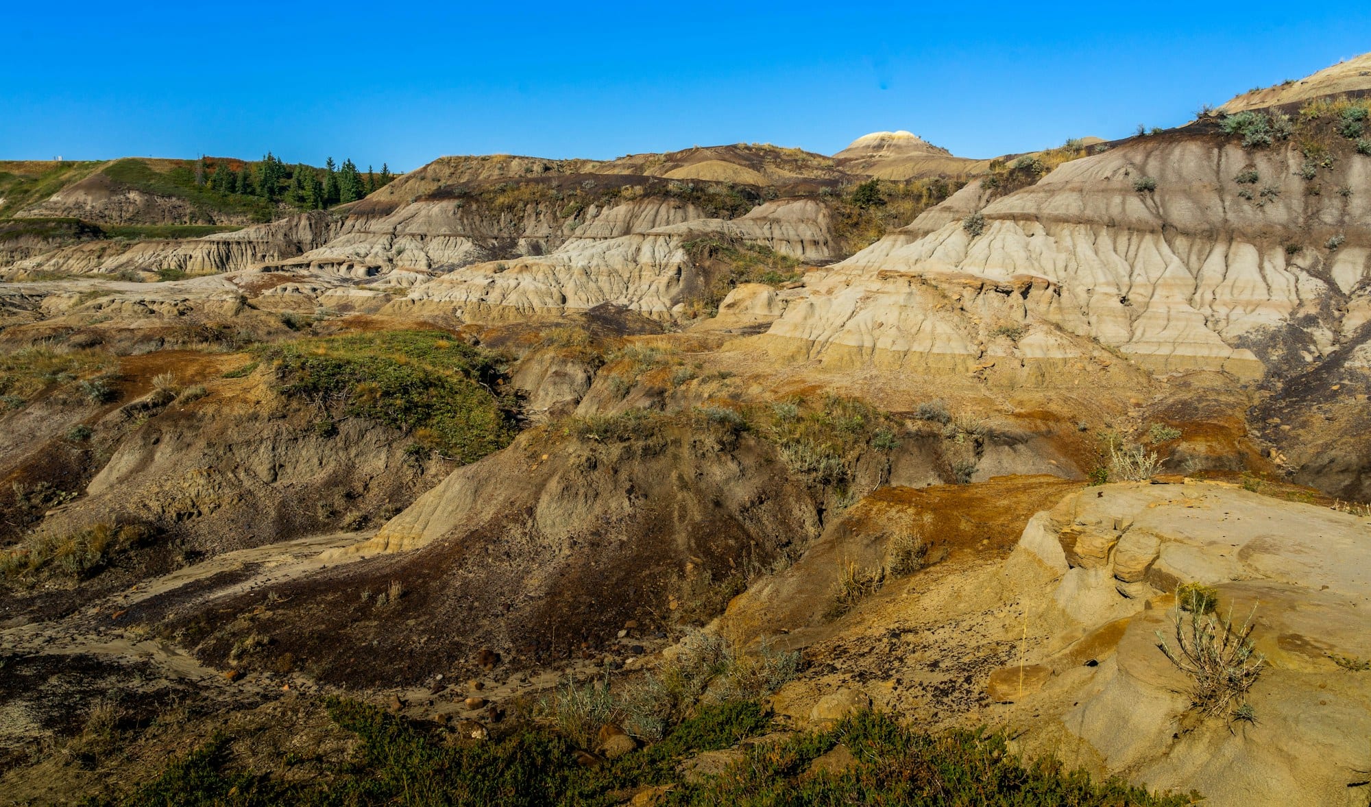 Cremation Services in Drumheller
