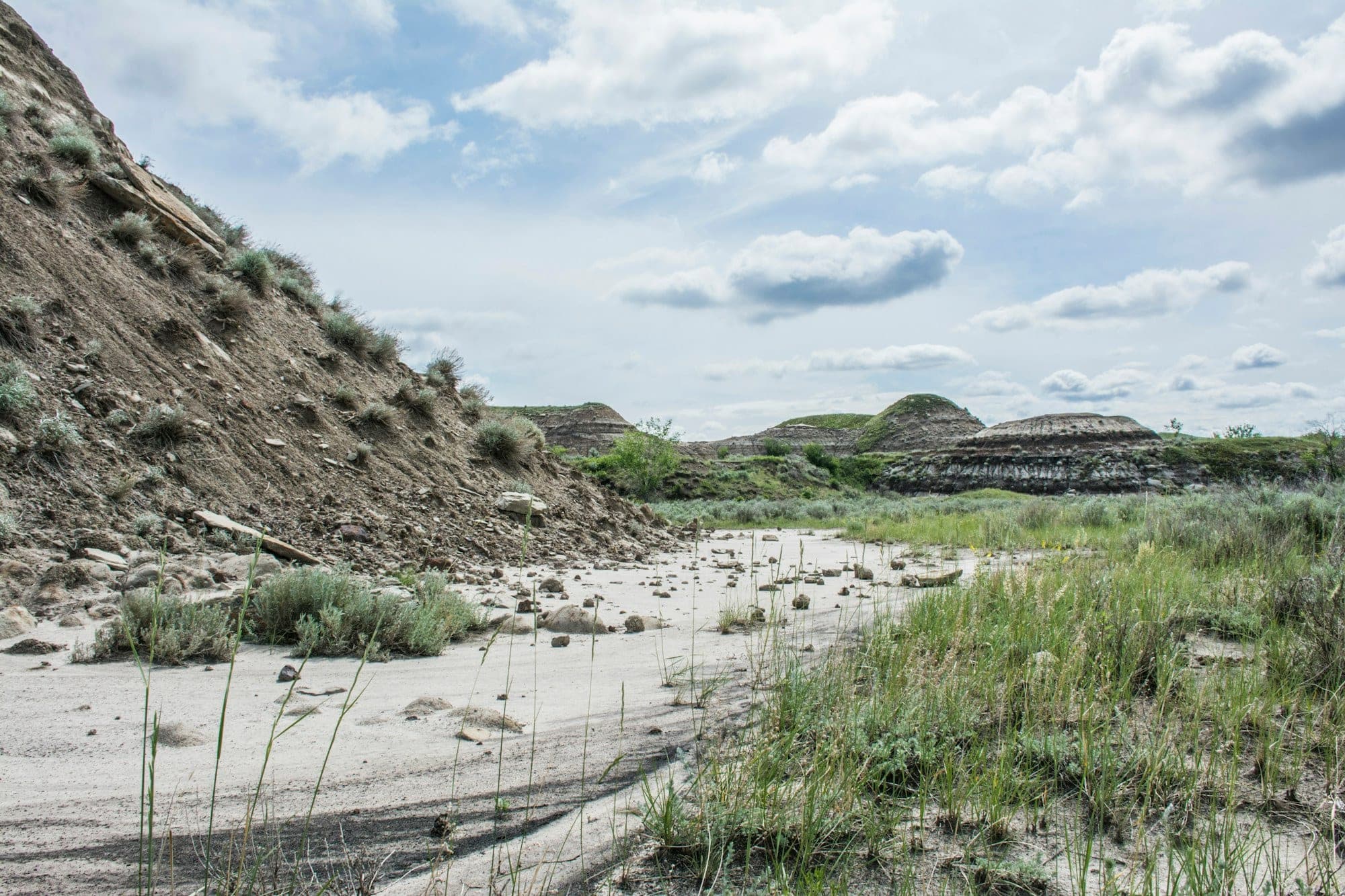 A sandy trail through green grasses beneath badlands hills near Drumheller