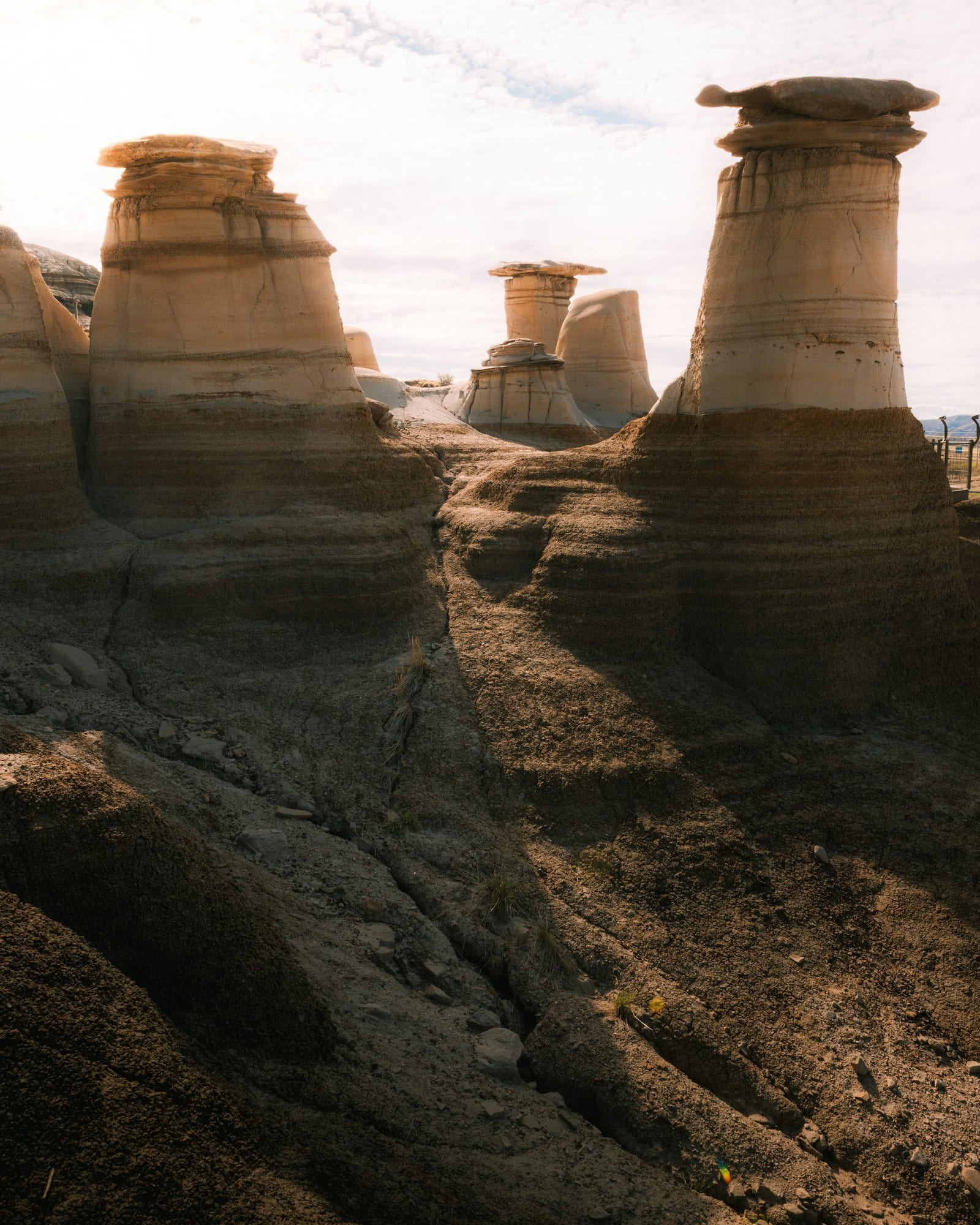 Sandstone hoodoos in the Drumheller valley, lit by low evening sun