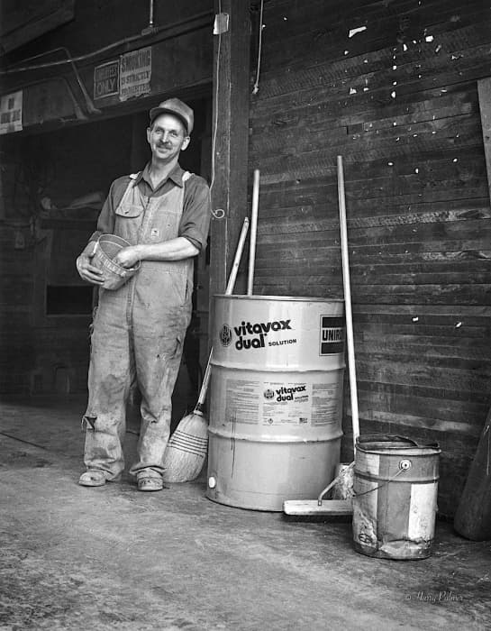 Albert Nelson Clark
